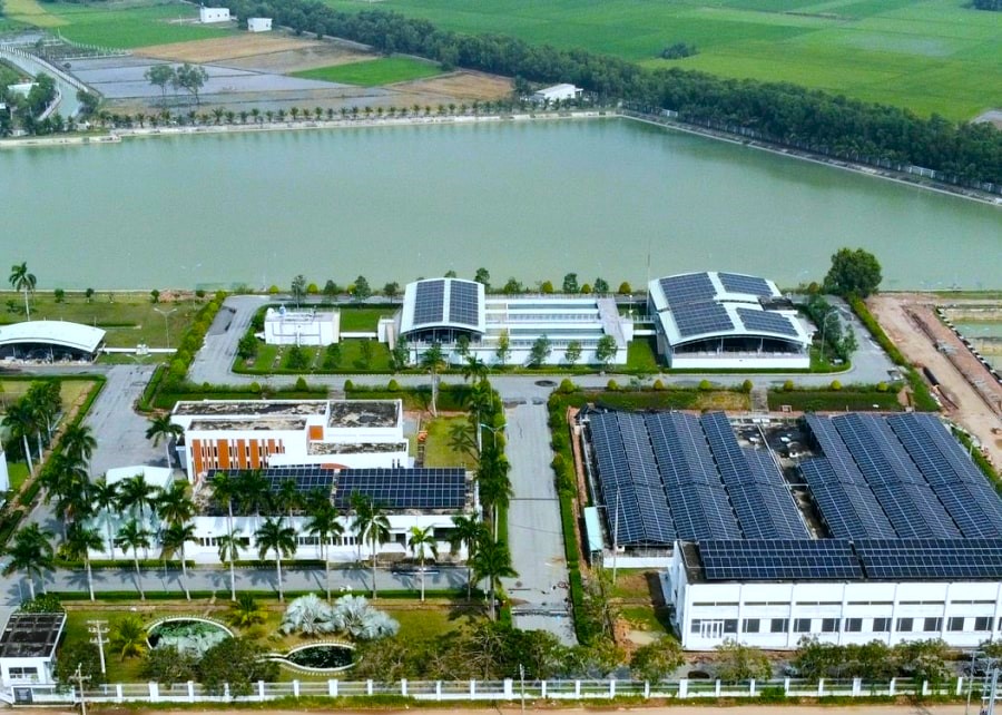 Hình ảnh thực tế