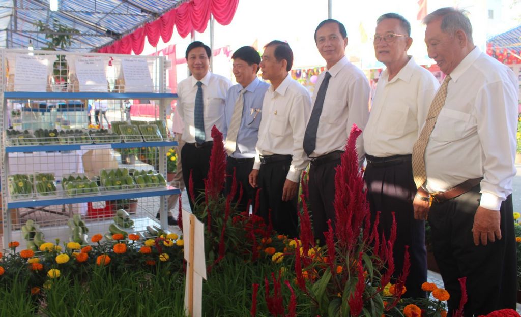 xuân kỷ hợi